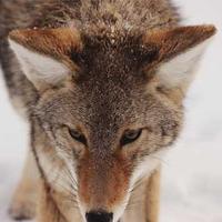 Cloud Solutions Inc.