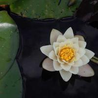 Creative Digital Solutions