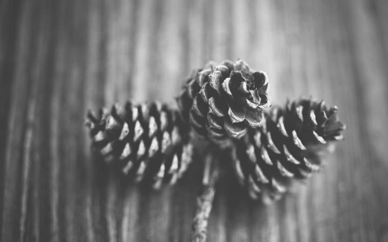 Smart Healthcare Portal